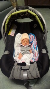 Amaya comes home 2/11/14