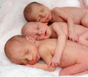 trio_crop
