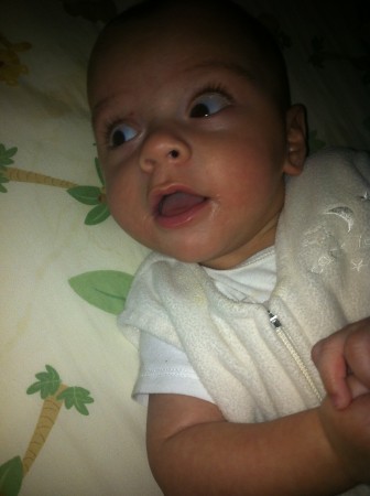 photo 1 (7)
